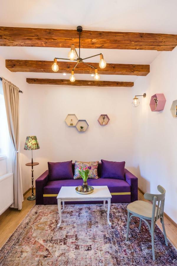 Casa Carolina Brasov Apartment ภายนอก รูปภาพ